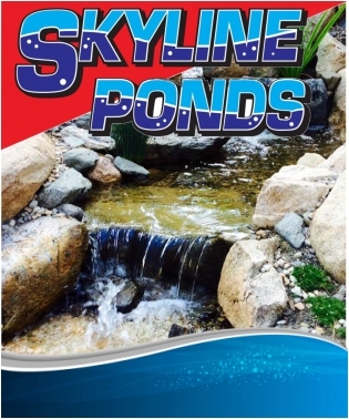 Outdoor Pondless Waterfalls By Skyline Pond
