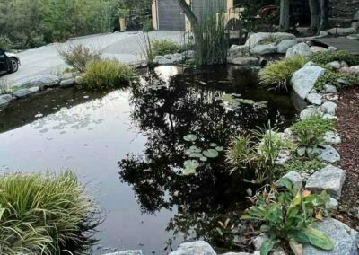 Outdoor Pond Installation